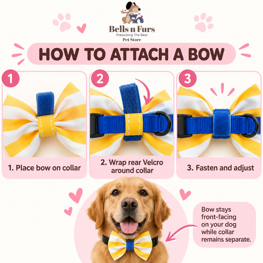 Handmade Classic Collar Bow for Dogs