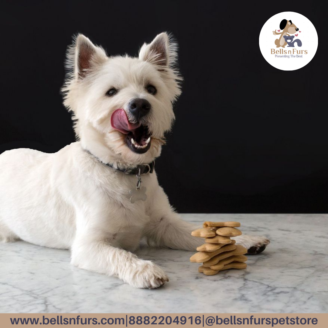 Dog Treats & Chews