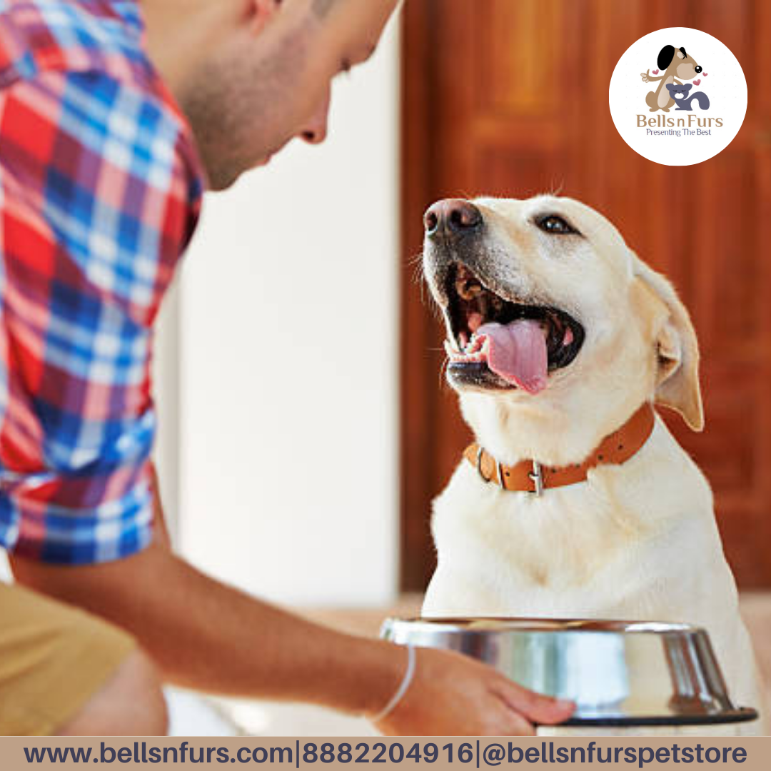 Dog Biscuits