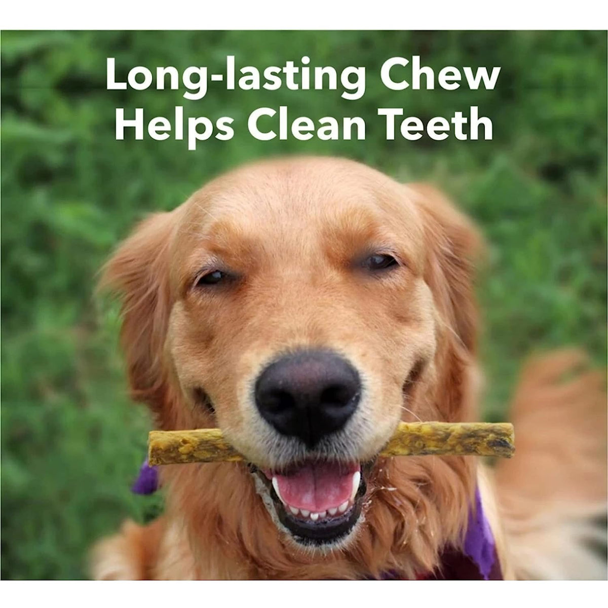 Munchy Sticks for Dogs