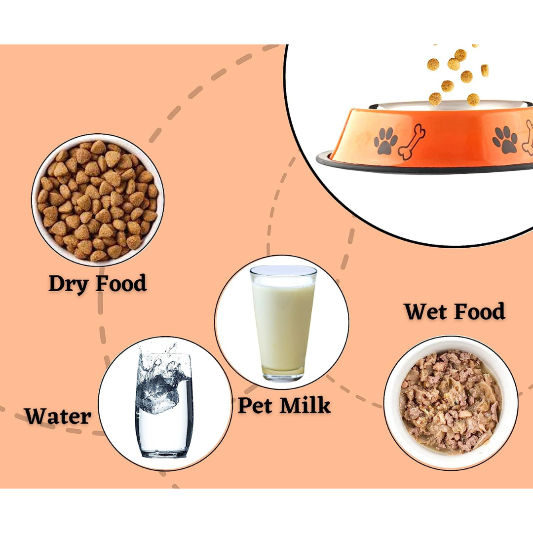 Printed Pet Feeding Bowl | Medium