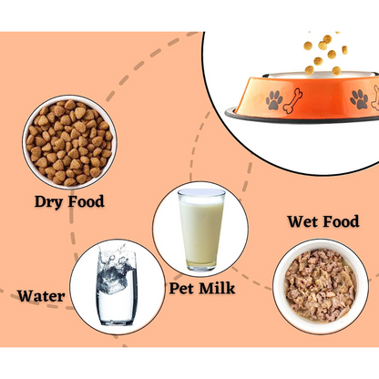 Printed Pet Feeding Bowl | Medium