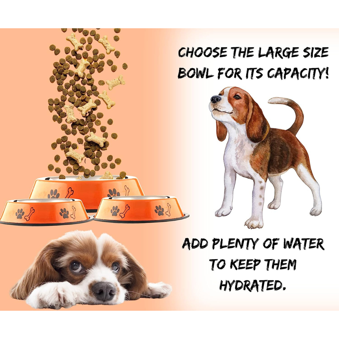 Printed Pet Feeding Bowl | Medium