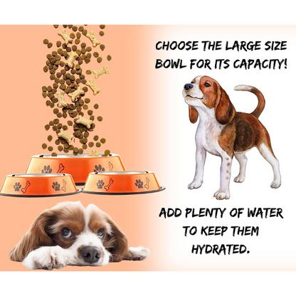 Printed Pet Feeding Bowl | Medium