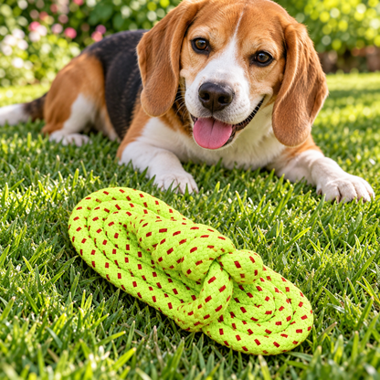 Bells N Furs Cotton Rope Slipper Toy for Dogs