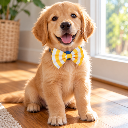 Handmade Classic Collar Bow for Dogs