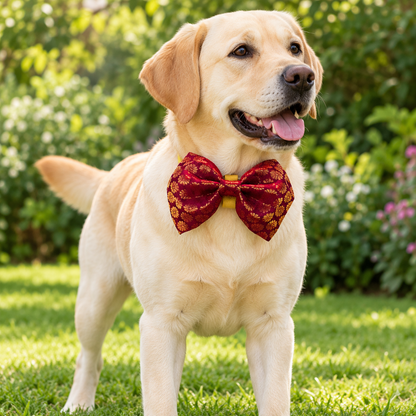 Handmade Festive Bow Tie for Dogs | Brochette