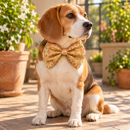 Handmade Festive Bow Tie for Dogs | Brochette